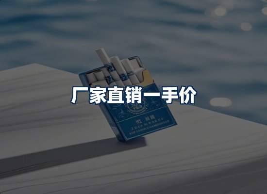 专业团队办公环境